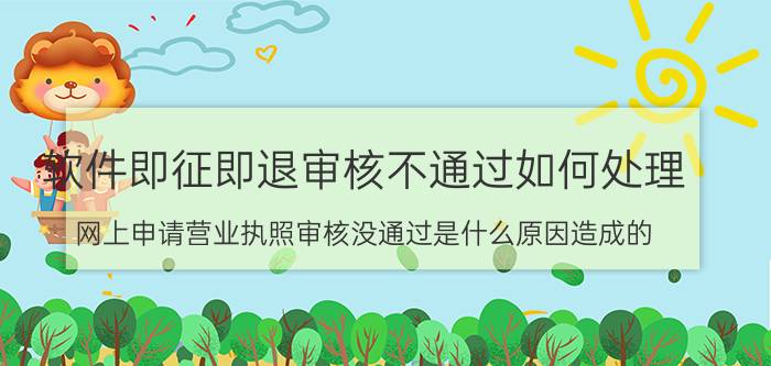 软件即征即退审核不通过如何处理 网上申请营业执照审核没通过是什么原因造成的？